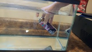 Experiment Silly String underwater