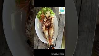 An Authentic Thai Food Adventure