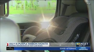 July is 'Purple Ribbon Month' to raise awareness of hot car risks Purple Ribbon Month Urges To Educate Community On Dangers Of Leaving Kids In Hot Cars