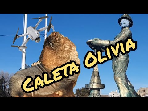 CALETA OLIVIA : el destino que impensadamente nos cautivó.