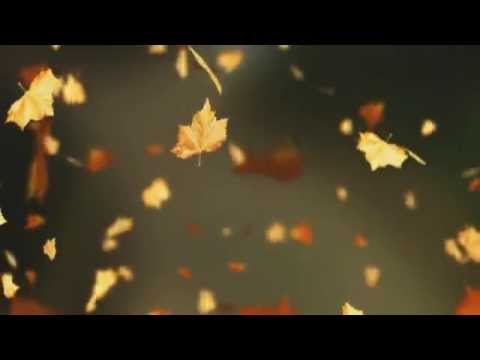 مقطع للمونتاج تساقط اوراق الخريف Falling Autumn Leaves