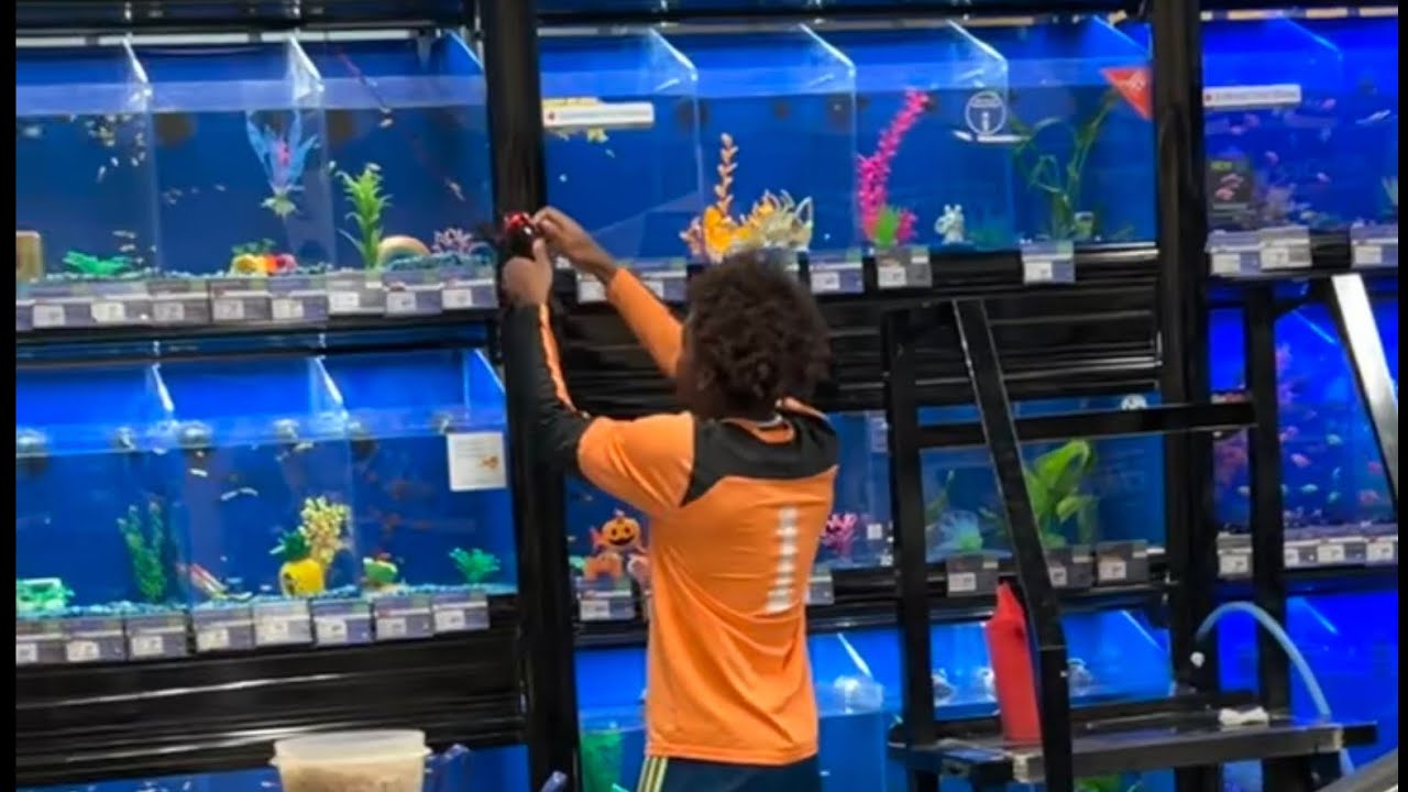 Fishing inside of Pet Smart ! - YouTube