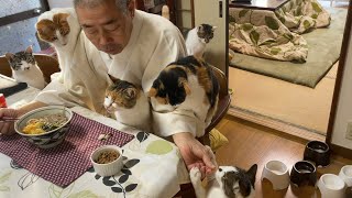 住職の朝ごはんは猫に見守られながら笑