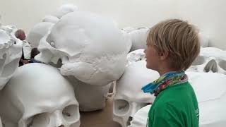 Super Feel Groten Schedels