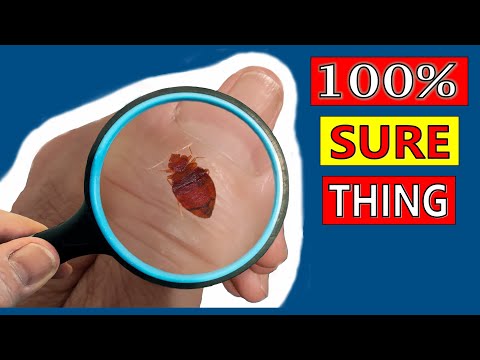 ULTIMATE Bed Bug Solution AMAZING This ALWAYS works