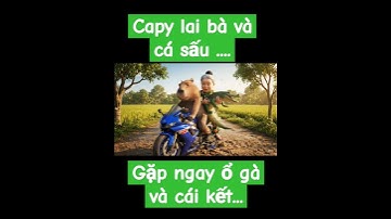 capy lai bà vag cá sấu gặp ổ gà và cái kết... #capybara #funny