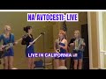 Experience NAVIHANKE Live: Na Avtocesti | The Band That Commands The Stage