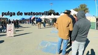 paseando en la pulga de watsonville ca.