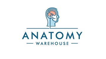 Anatomy Warehouse Hands On Lab Episode 2: ALEX Gen AI Patient Communication Simulator
