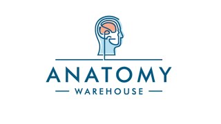 Anatomy Warehouse Hands On Lab Episode 2: ALEX Gen AI Patient Communication Simulator