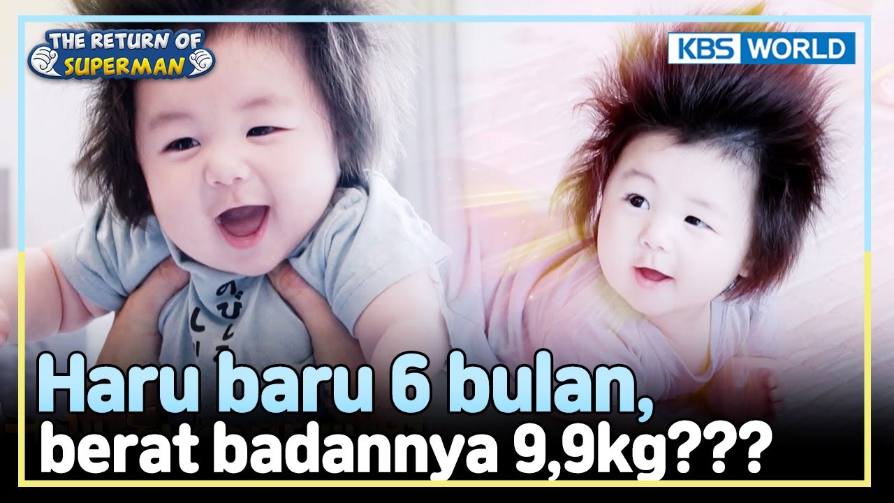 [IND/ENG] Pertama Kali Merawat Haru Sendirian | The Return of Superman | KBS WORLD TV 250803