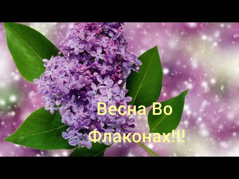 Видео: Ронан Фэрроу Собственный капитал: Вики, женат, семья, свадьба, зарплата, братья и сестры