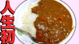 【料理初心者】一人暮らしの男がレシピを全く見ないで"カレーライス"作ってみた
