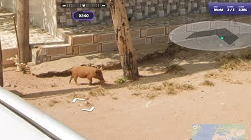 GeoGuessr Daily Challenge in self imposed No Move mode 5th June 2025