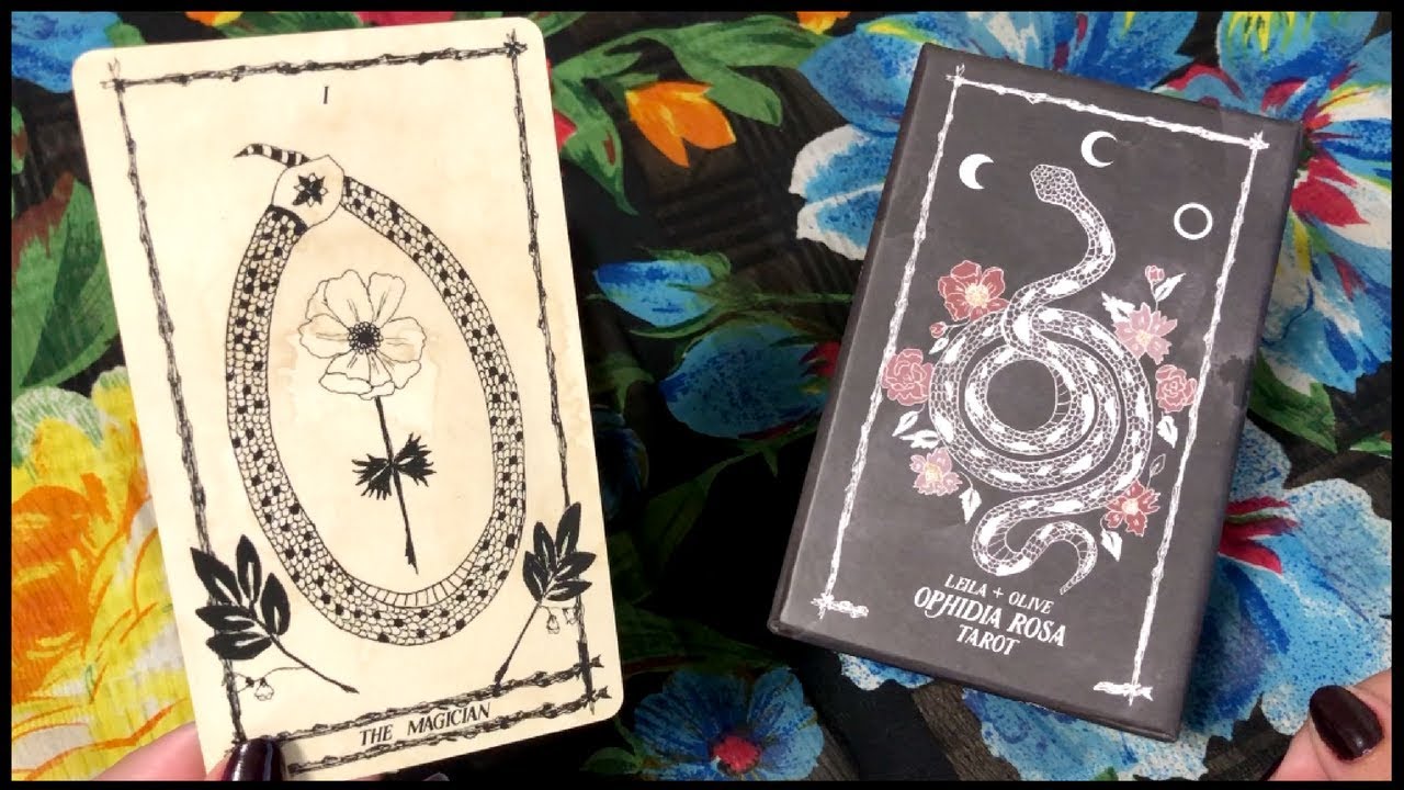🌹 Ophidia Rosa Tarot Deck Unboxing, First Impressions & Flip Through 🌹 -  YouTube