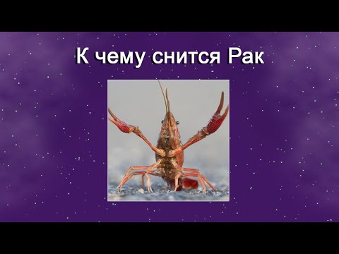 К чему снится Рак – толкование сна по Соннику