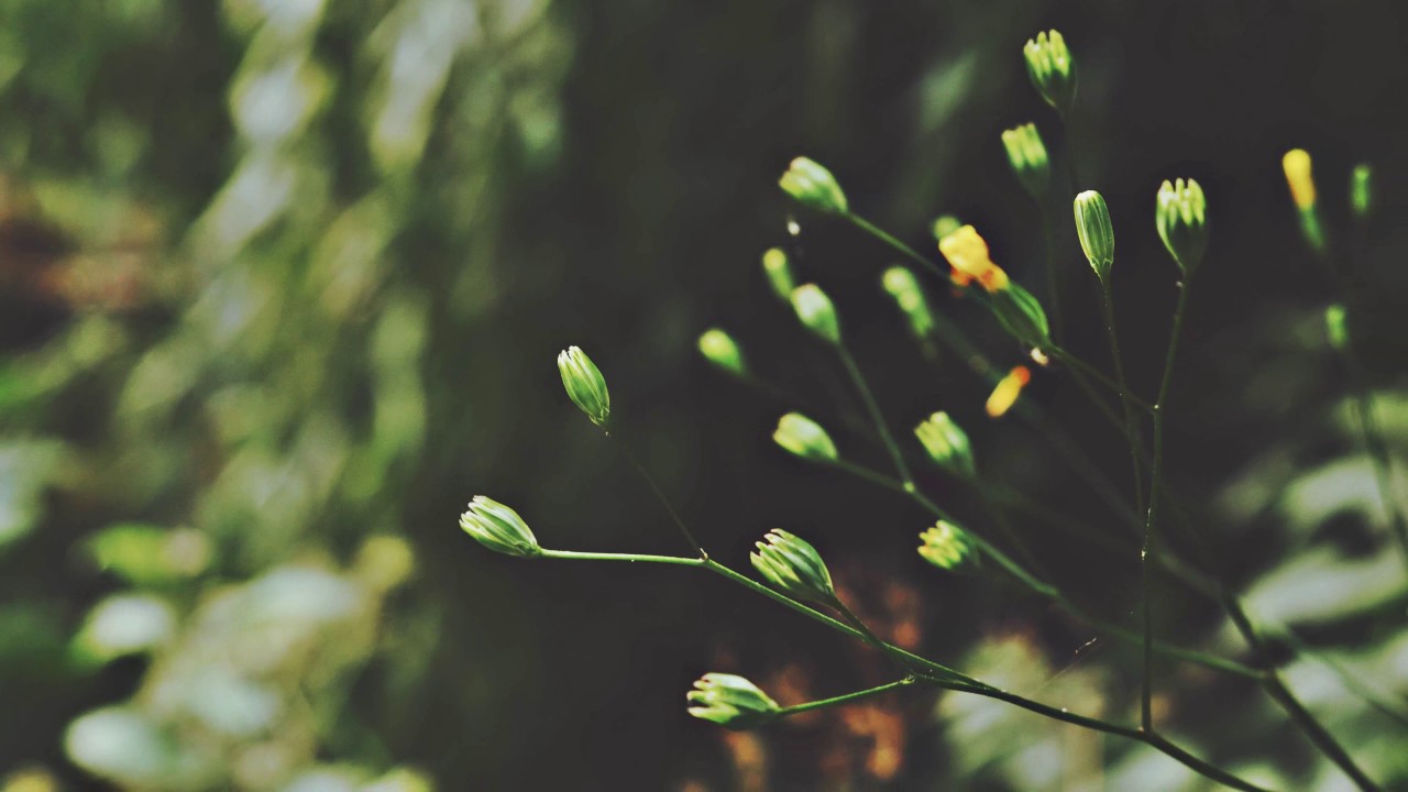 heizzah - it's ok to be sad