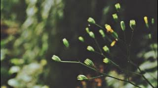 heizzah - it's ok to be sad