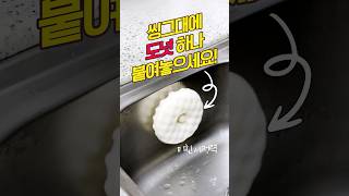 도넛 수세미 거품력, 세정력 미쳤다!