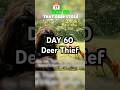 Day 60: Bigfoot’s Hat Heist: Step One…? 🦌😂#bigfoot