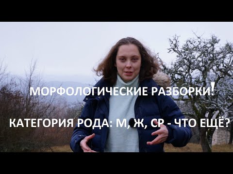 Морфологические разборки: категория рода - М, Ж, Ср, что ещё?