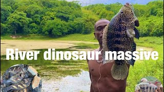 Slingshot spearfishing for river dinosaur massive Jaguar cichlid Ñ tilapia roast fish Ñ bead amazing