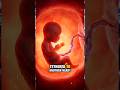 The Navel: Your Body’s First Signature #science #shorts #3danimation #trending