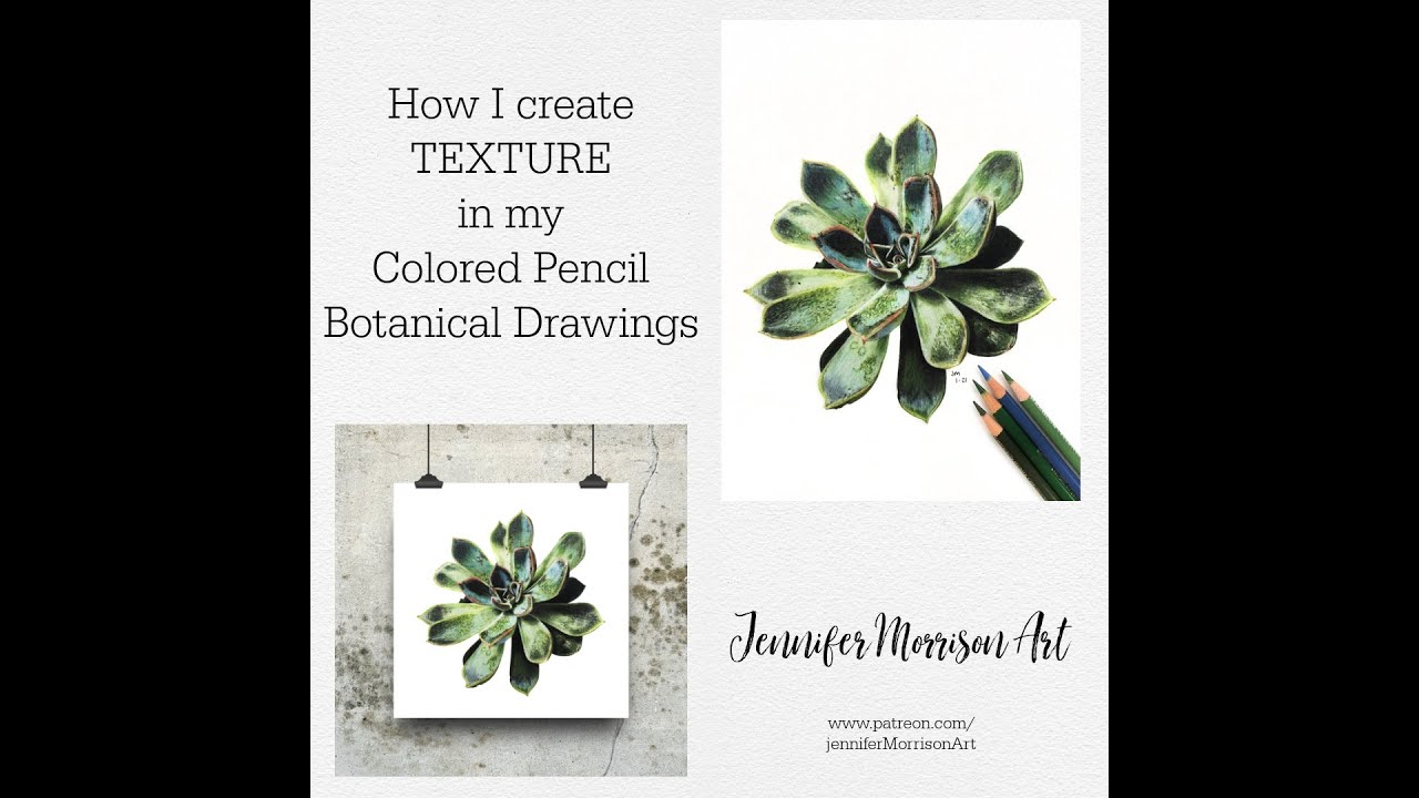 1-Minute Colored Pencil Tip Video // Adding Texture to Botanicals using Colored Pencils