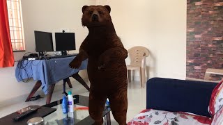 Google view in 3D explained | Bring Live animal at your home | AR feature | Work from home fun screenshot 4