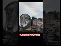 4 de fevereiro de 2026