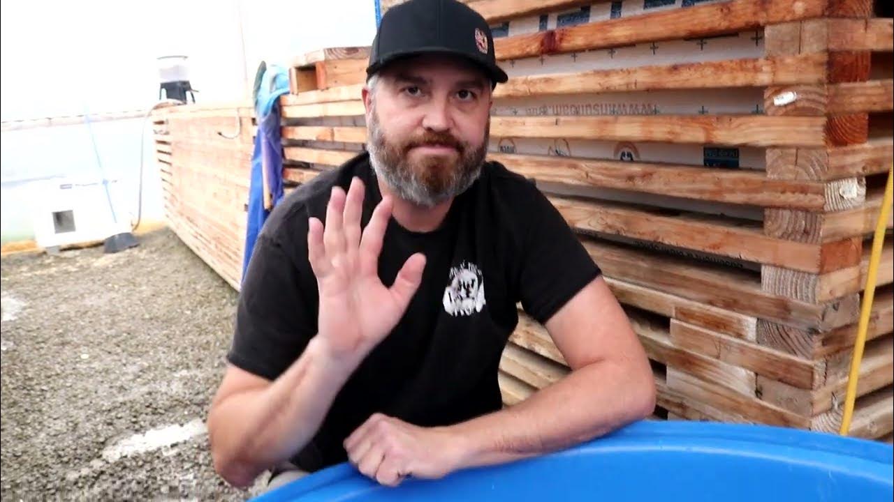 Cotskoi Auction ending 12 18 22 YouTube