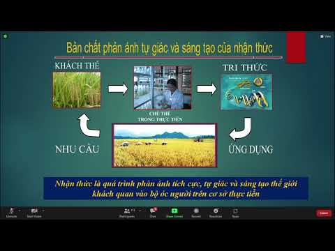 Video: Chức năng nhận thức luận trong triết học