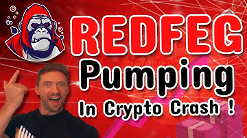 RedFeg Pumping When Crypto Marking is Dumping (MUST WATCH)