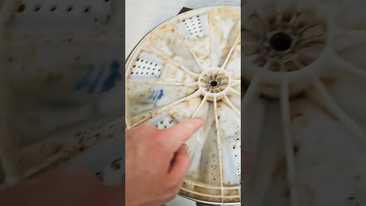 how to clean Samusung top loader washer with agitator plate removal. 