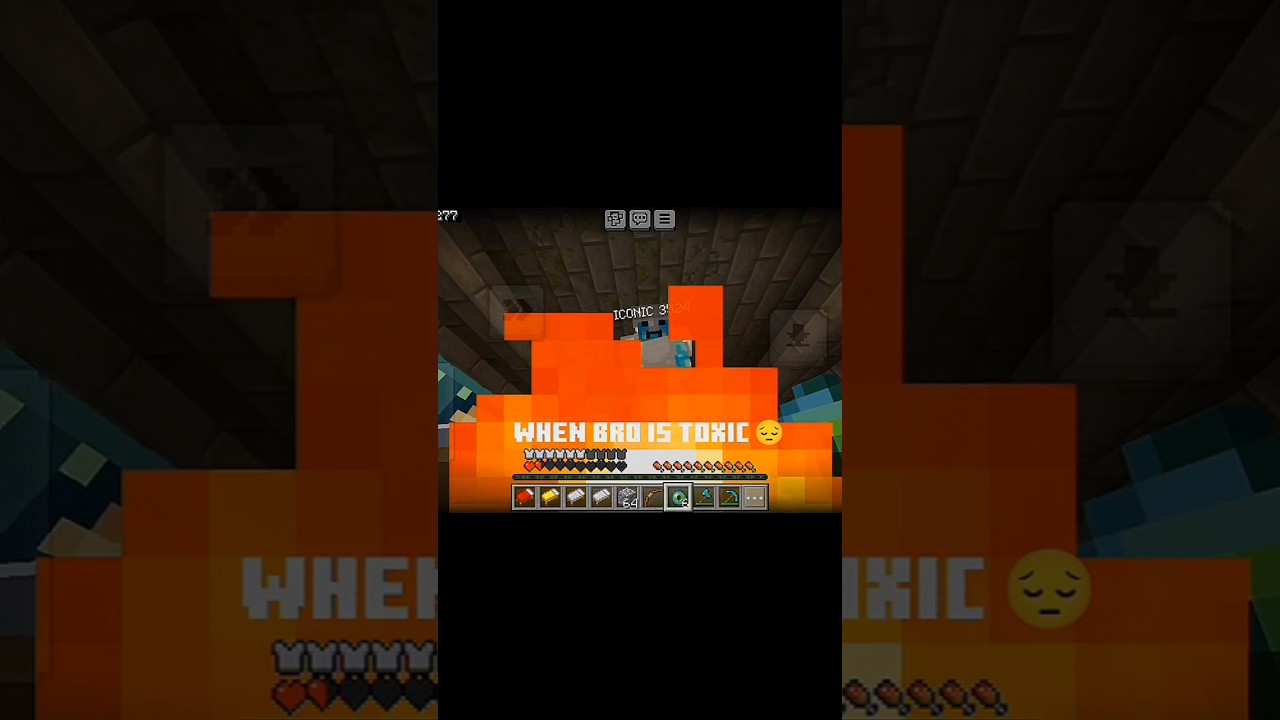 POV: When Bro is Toxic😔. 