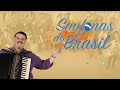  assista agora sanfonas do brasil 15102023