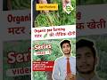 Organic Pea Farming: मटर 🫛 की टॉप दो वैरायटियां #मालवा रीजन शुद्ध और मीठी मटर पाने का राज़! #हरीमटर