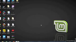 Creating Basic AI With Python on a Linux Mint OS.
