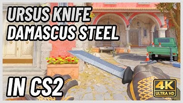 ★ CS2 Ursus Knife Damascus Steel | CS2 Knife In-Game Showcase [4K]