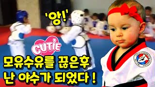 귀염폭발! 아기들의 태권도 하이라이트. Cute explosion! Taekwondo highlights for babies.