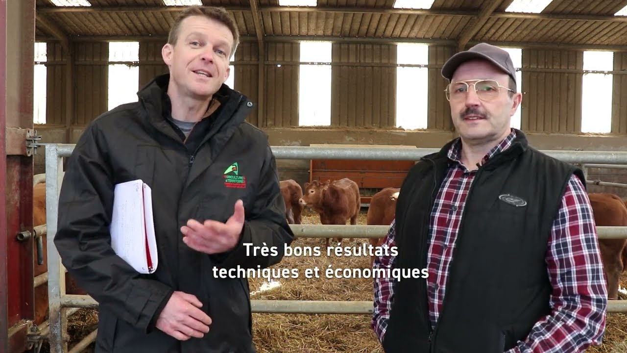 Partage de pratique : un mash fermier broutard performant