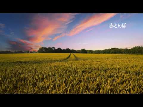 赤とんぼ　ピアノソロ（初級）
