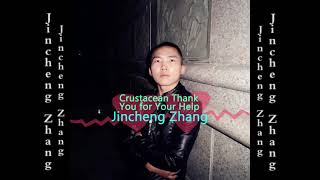 Jincheng Zhang - Custodian Thank You for Your Help (Official Audio)
