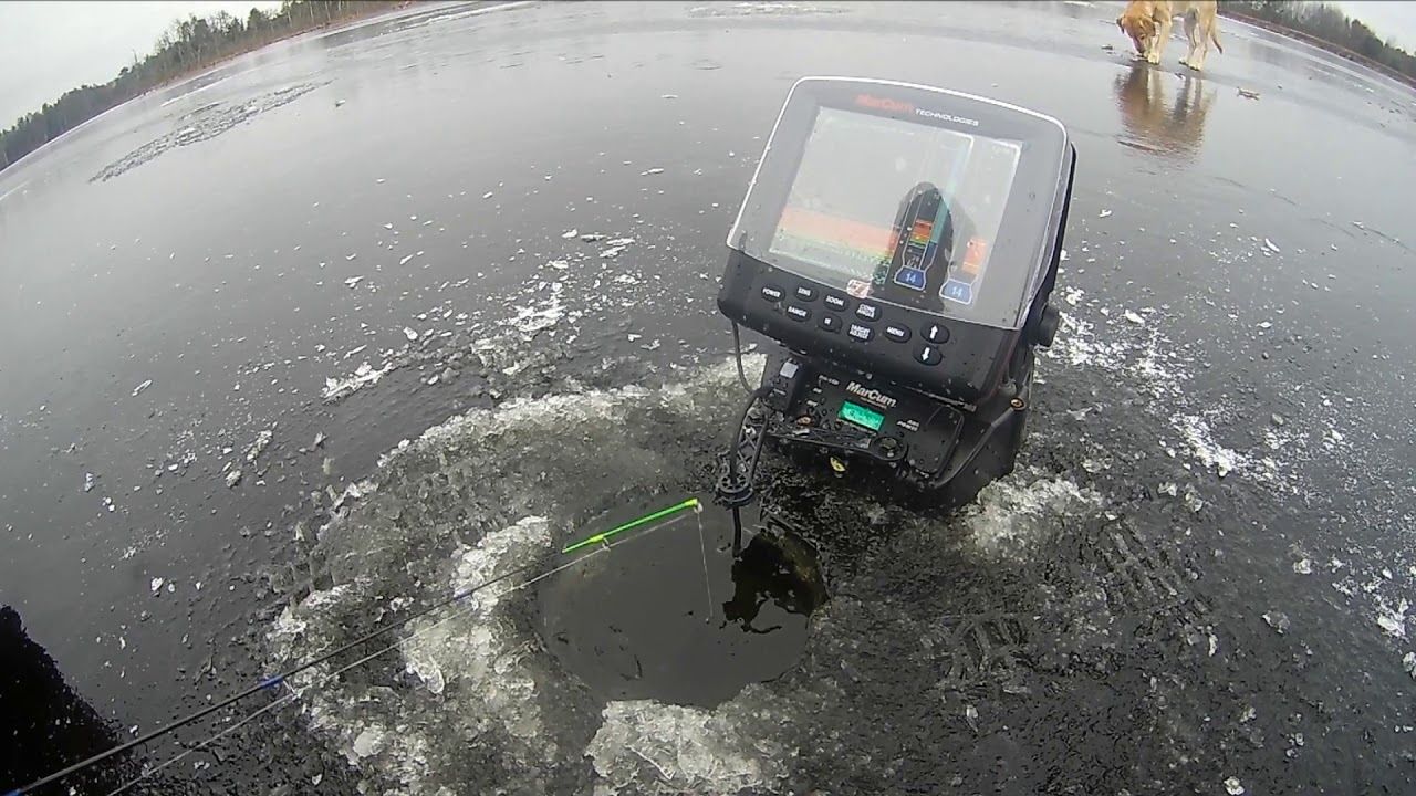 B Y Baits 2018 2019 Ice Fishing w/ Micro Plastics + Tips and Strategy for How to Trigger More Bites