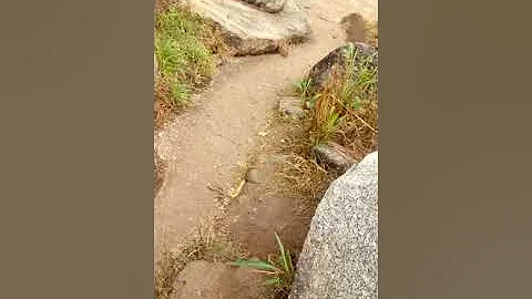 Deborah higher mountain of mercy Osun state