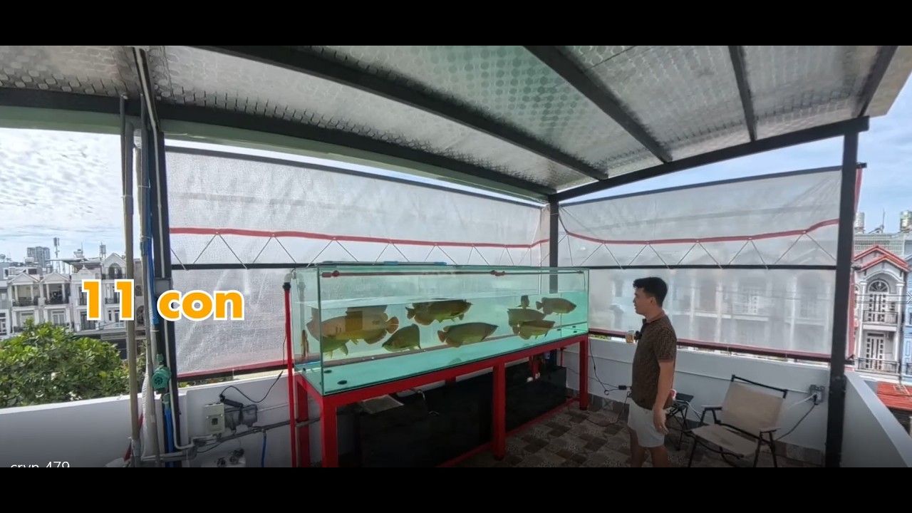 Giao lưu 11 em cá size khủng với anh khách có chiếc hồ cực bự