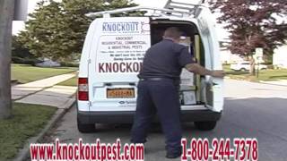 Knockout Tv Ad 2011-1 Ok