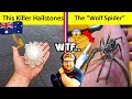 American Reacts to Things You Can Only See In Australia 🇦🇺