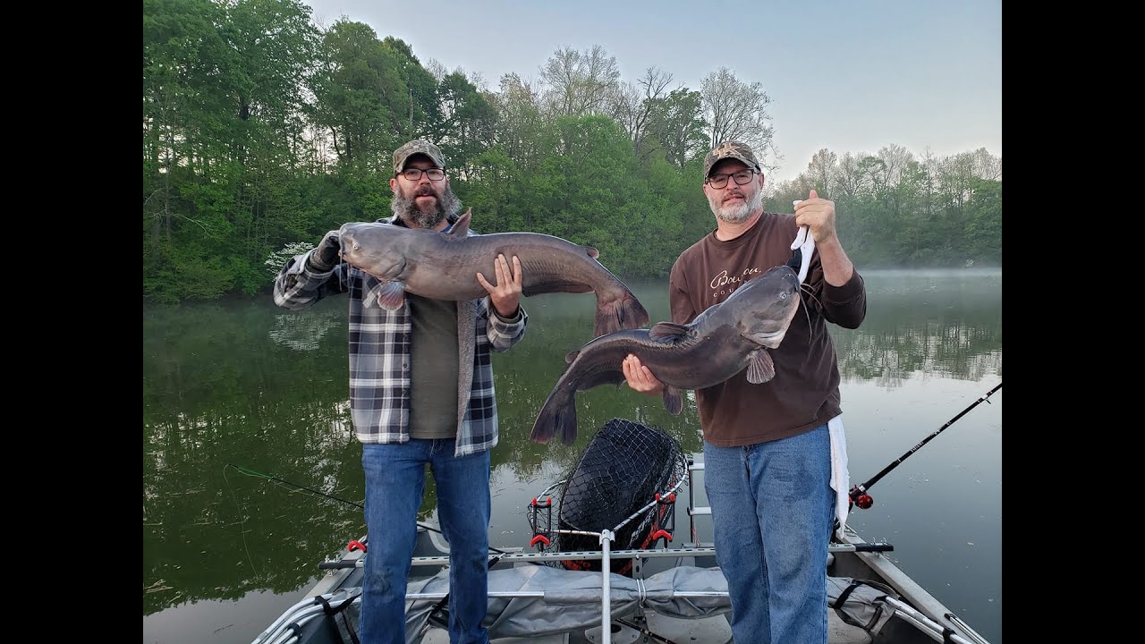 Big Blues on Planers Central Kentucky Catfishing YouTube