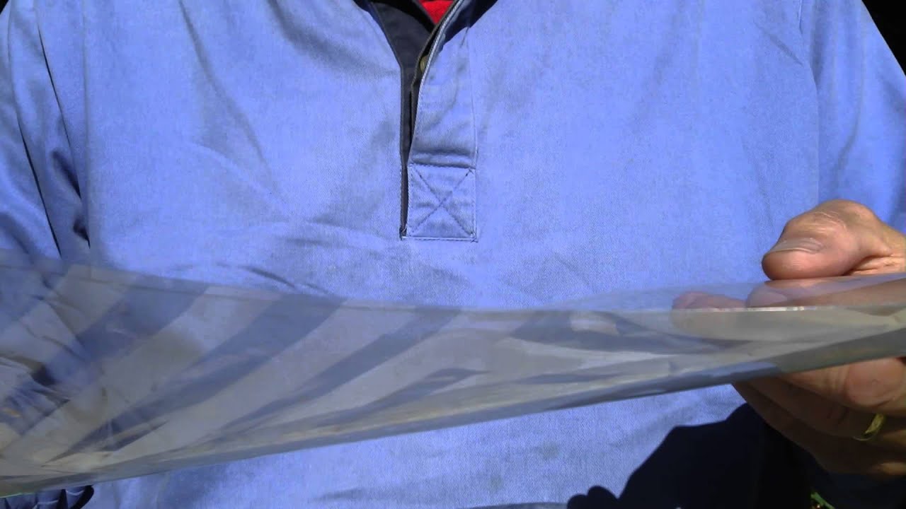 Respiratory System 7, Pleural membranes, teaching demonstration